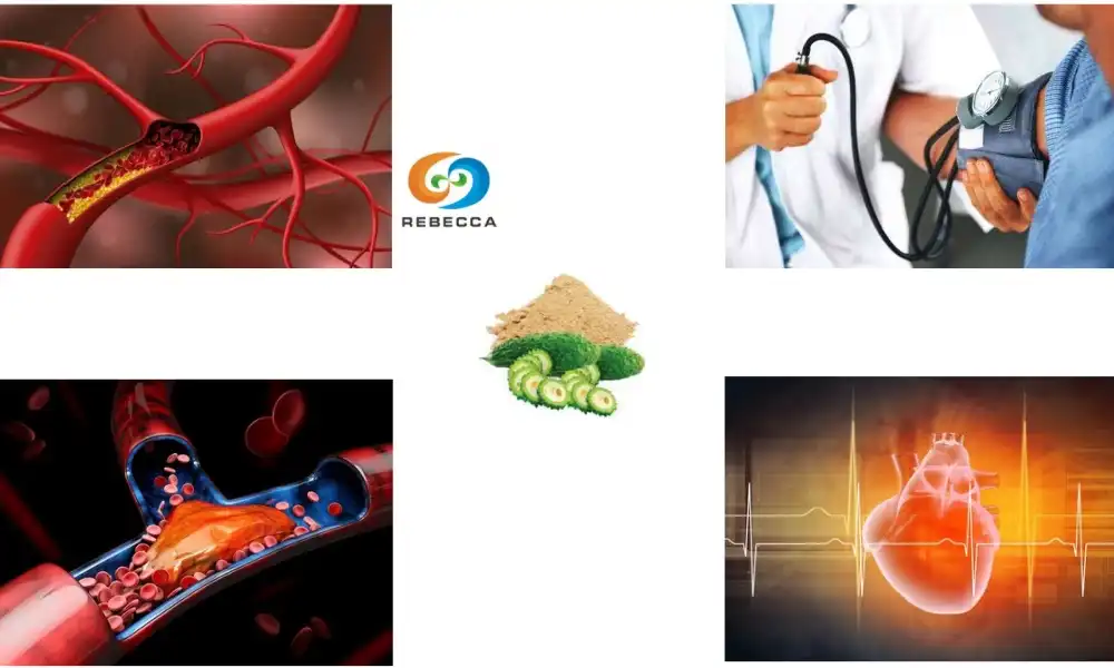 Is bitter melon good for the heart? Is bitter melon good for the heart?